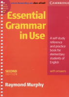 Essential Grammar in Use.pdf